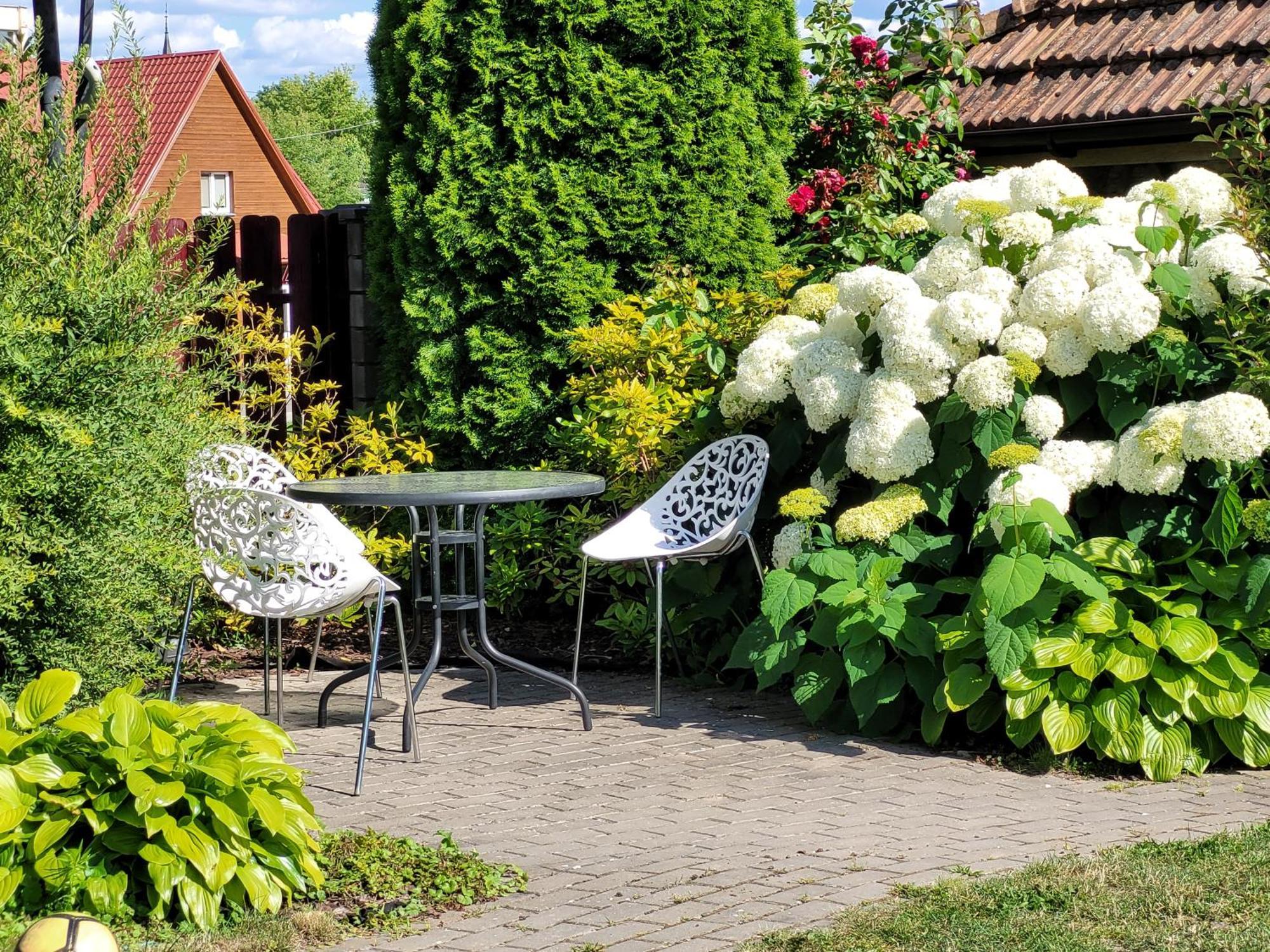 Chalet Villa Rex Druskininkai Exteriér fotografie