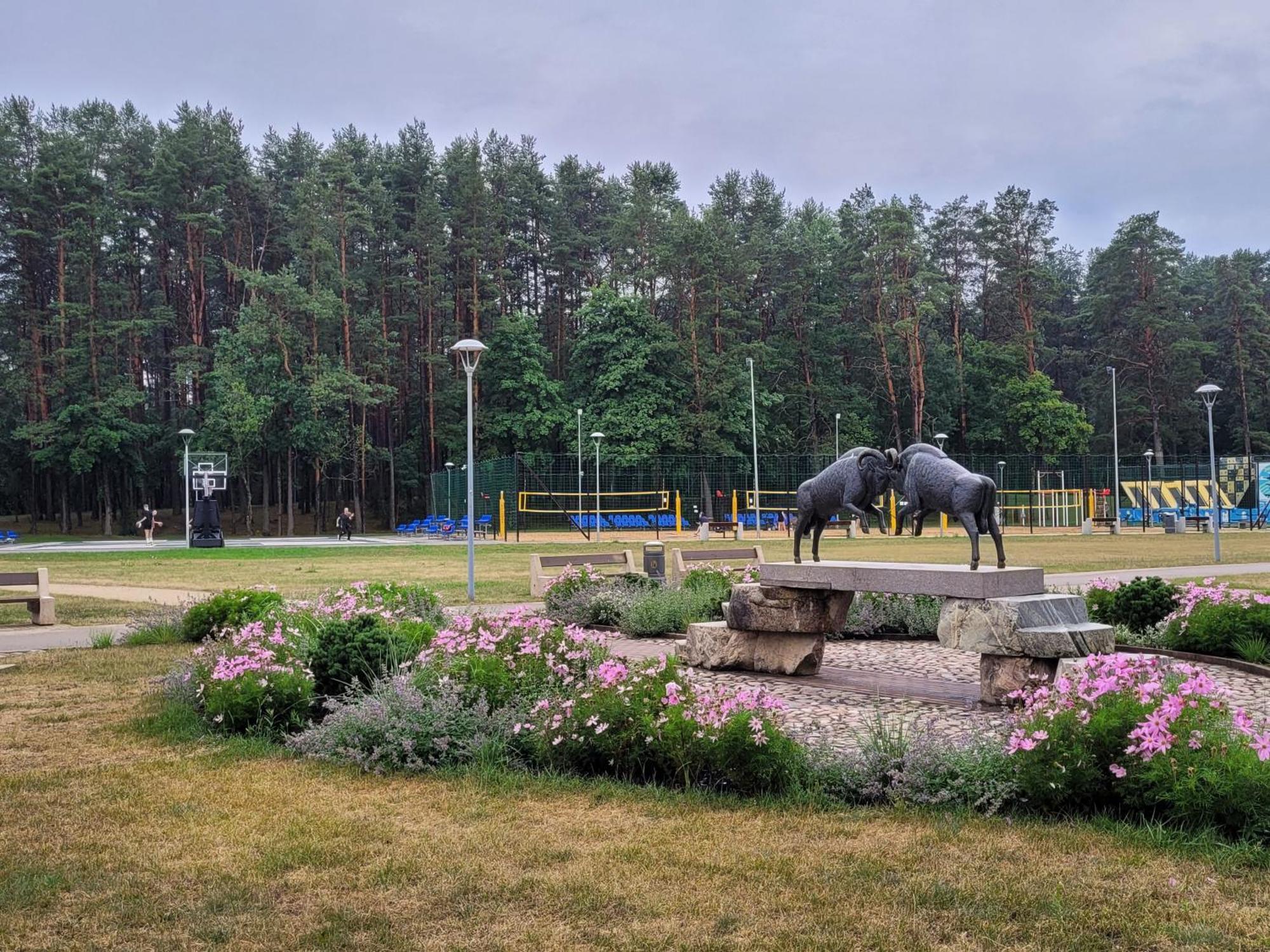 Chalet Villa Rex Druskininkai Exteriér fotografie