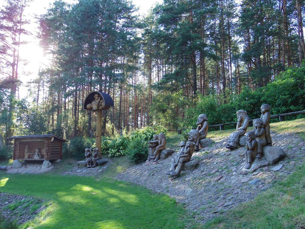 Chalet Villa Rex Druskininkai Exteriér fotografie